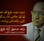 شہید نجمہ بلوچ کو انصاف دلانے کے لئے عالمی ادارے کردار ادا کریں پاکستانی ریاست قاتل ہے ۔ واجہ صدیق آزاد بلوچ