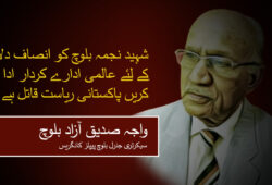 شہید نجمہ بلوچ کو انصاف دلانے کے لئے عالمی ادارے کردار ادا کریں پاکستانی ریاست قاتل ہے ۔ واجہ صدیق آزاد بلوچ
