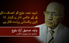 شہید نجمہ بلوچ کو انصاف دلانے کے لئے عالمی ادارے کردار ادا کریں پاکستانی ریاست قاتل ہے ۔ واجہ صدیق آزاد بلوچ