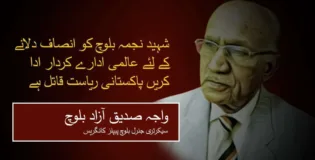 شہید نجمہ بلوچ کو انصاف دلانے کے لئے عالمی ادارے کردار ادا کریں پاکستانی ریاست قاتل ہے ۔ واجہ صدیق آزاد بلوچ