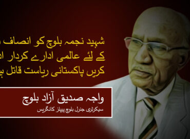 شہید نجمہ بلوچ کو انصاف دلانے کے لئے عالمی ادارے کردار ادا کریں پاکستانی ریاست قاتل ہے ۔ واجہ صدیق آزاد بلوچ