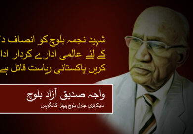 شہید نجمہ بلوچ کو انصاف دلانے کے لئے عالمی ادارے کردار ادا کریں پاکستانی ریاست قاتل ہے ۔ واجہ صدیق آزاد بلوچ