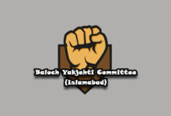 ریاستی جبر و تشدد کے خلاف یکمشت ہو کر جد وجہد کی اشد ضرورت ہے۔ بلوچ یکجہتی کمیٹی (اسلام آباد)