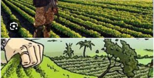 سندھ کی زمینیں مالی غنیمت نہیں کہ پاکستان اس کو پنجابی فوج میں تقسیم کرتا جاۓ۔ جئے سندھ فریڈم موومنٹ