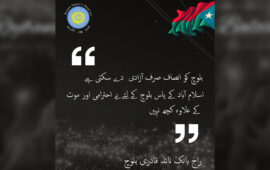 بلوچ قوم سمجھتی ہے کہ اسلام آباد سے بلوچ قوم کو انصاف نہیں ملے گا۔ راج بانک نائلہ قادری بلوچ