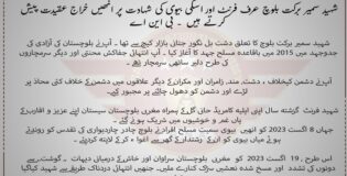 شہید سمیر برکت بلوچ عرف فرنٹ اور اسکی بیوی کی شہادت پر انھیں خراج عقیدت پیش کرتے ہیں  ۔ بی این اے