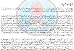 بلوچ اسٹوڈنٹس فرنٹ کے مرکزی کمیٹی کا پانچواں اجلاس، اپریل کے مہینے میں مرکزی کونسل سیشن کا انعقاد کیا جائے گا۔ بی ایس ایف