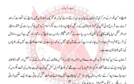 بلوچستان میں جاری ظلم و جبر اور بلوچ نسل کشی کے خلاف بلوچ یکجہتی کمیٹی کی 27 جنوری کی جلــہ عـام کی مکمل حمایت کرتے ہیں۔ بلوچ وومن فورم