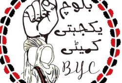 جبری لاپتہ ظہیر بلوچ کی بازیابی کے لئے جاری دھرنا سے لواحقین اور بلوچ یکجہتی کمیٹی رہنماؤں کی پریس کانفرنس