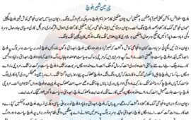 بلوچ اسٹوڈنٹس ایکشن کمیٹی نصیرآباد ھنکین ءِ ھنکینی لس دیوان برجم دارگ بوتگ۔