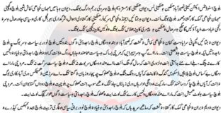 بلوچ اسٹوڈنٹس ایکشن کمیٹی نصیرآباد ھنکین ءِ ھنکینی لس دیوان برجم دارگ بوتگ۔