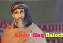 ریاست چاہے باڑ لگائے یا دیوار چین بنائے گوادر کی سرزمین کے لیے بلوچ ہر قسم کی قربانی دینے لے لیے تیار ہے، سبغت عبدالحق بلوچ