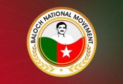 عالمی ریڈکراس ، بزرگ بلوچ رہنماء استاد واحد کمبر کی بازیابی اور بطور قیدی ان کے قانونی اور انسانی حقوق دلانے میں کردار ادا کرے۔ ترجمان بی این ایم