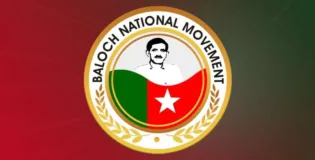 عالمی ریڈکراس ، بزرگ بلوچ رہنماء استاد واحد کمبر کی بازیابی اور بطور قیدی ان کے قانونی اور انسانی حقوق دلانے میں کردار ادا کرے۔ ترجمان بی این ایم