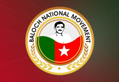 عالمی ریڈکراس ، بزرگ بلوچ رہنماء استاد واحد کمبر کی بازیابی اور بطور قیدی ان کے قانونی اور انسانی حقوق دلانے میں کردار ادا کرے۔ ترجمان بی این ایم