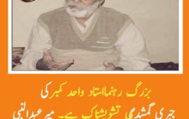 استاد واحد کمبر بلوچ کی جبری گمشدگی عالمی قوانین کی سنگین خلاف ورزی ہے. میرعبدالنبی بنگزئی