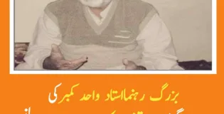 استاد واحد کمبر بلوچ کی جبری گمشدگی عالمی قوانین کی سنگین خلاف ورزی ہے. میرعبدالنبی بنگزئی