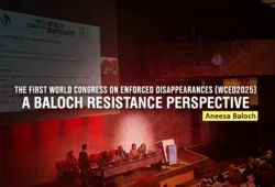 The First World Congress on Enforced Disappearances (WCED2025): A Baloch Resistance Perspective – Aneesa Baloch