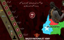 مشرقی و مغربی بلوچستان سمیت سندھ اور پنجاب میں پاکستانی فورسز، پولیس تھانوں ،تعمیراتی کمپنیوں ، مواصلاتی ٹاورز ،گیس پائپ لائن سمیت مجموعی طور پر 22 حملوں میں گذشتہ سال نشانہ بنایا گیا جبکہ ایک ساتھی سرمچار شہید ہوئے ۔بی این اے