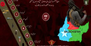 مشرقی و مغربی بلوچستان سمیت سندھ اور پنجاب میں پاکستانی فورسز، پولیس تھانوں ،تعمیراتی کمپنیوں ، مواصلاتی ٹاورز ،گیس پائپ لائن سمیت مجموعی طور پر 22 حملوں میں گذشتہ سال نشانہ بنایا گیا جبکہ ایک ساتھی سرمچار شہید ہوئے ۔بی این اے