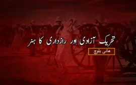تحریک آزادی اور رازداری کا ہنر – ھانی بلوچ
