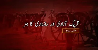 تحریک آزادی اور رازداری کا ہنر – ھانی بلوچ