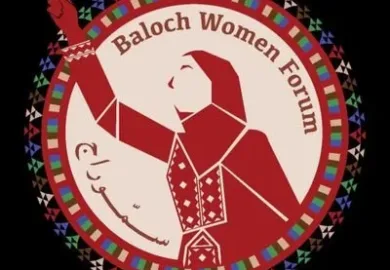 بلوچ وومن فورم نے اقوام متحدہ کے ورکنگ گروپ کے سامنے بلوچستان میں جبری گمشدگیوں کا مسئلہ اجاگر کیا