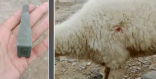 تربت کے بعد بلیدہ بھی نشانہ؛ ڈیتھ اسکواڈ کی مبینہ سرگرمیاں بڑھ گئیں
