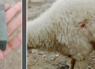 تربت کے بعد بلیدہ بھی نشانہ؛ ڈیتھ اسکواڈ کی مبینہ سرگرمیاں بڑھ گئیں