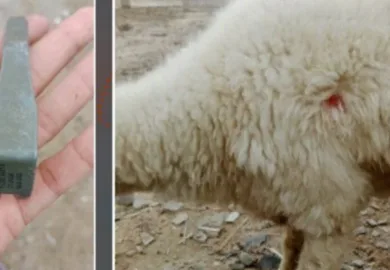 تربت کے بعد بلیدہ بھی نشانہ؛ ڈیتھ اسکواڈ کی مبینہ سرگرمیاں بڑھ گئیں