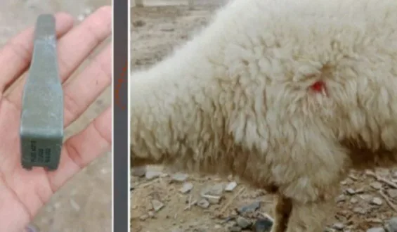 تربت کے بعد بلیدہ بھی نشانہ؛ ڈیتھ اسکواڈ کی مبینہ سرگرمیاں بڑھ گئیں