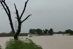 دریائے سندھ کا سیلاب بلوچستان میں داخل ہونے کا امکان