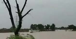 دریائے سندھ کا سیلاب بلوچستان میں داخل ہونے کا امکان