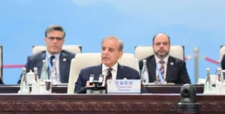 بلوچستان کی علیحدگی پسندی پوری ایس سی او  کے لیے خطرہ ہے – شہباز شریف