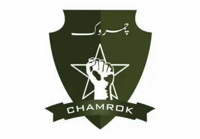 بلوچ نیشنلسٹ آرمی نے تین حملوں کی ویڈیوز جاری کر دیں