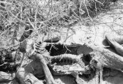 خاران نارو کے علاقے سے پرانی لاش برآمد، شناخت نہ ہوسکی