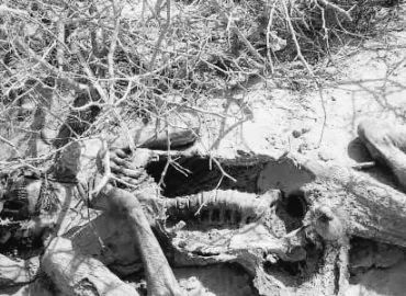 خاران نارو کے علاقے سے پرانی لاش برآمد، شناخت نہ ہوسکی