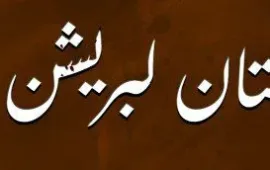 آواران ڈیم بنانے والی کمپنی اور جاسوسی کے آلات کو نشانہ بناکر تباہ کیا۔ بی ایل ایف