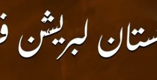 آواران ڈیم بنانے والی کمپنی اور جاسوسی کے آلات کو نشانہ بناکر تباہ کیا۔ بی ایل ایف