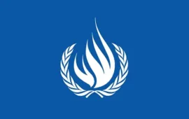UN working groups call on Pakistan to clarify details surrounding journalist and son’s killings and activist’s detention