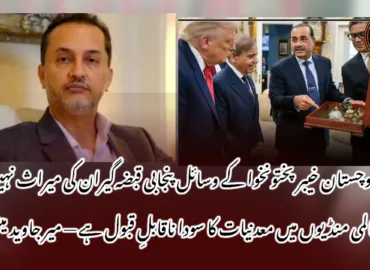 بلوچستان خیبر پختونخوا کے وسائل پنجابی قبضہگیران کی میراث نہیں، عالمی منڈیوں میں معدنیات کا سودا ناقابلِ قبول ہے — میر جاوید مینگل