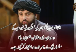 افغانستان پاکستان کی سیکیورٹی فورسز کے درمیان  ڈیورنڈ لائن جھڑپوں کا سلسلہ ایک بار پھر شدت اختیار کر گیا ہے۔