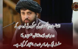 افغانستان پاکستان کی سیکیورٹی فورسز کے درمیان  ڈیورنڈ لائن جھڑپوں کا سلسلہ ایک بار پھر شدت اختیار کر گیا ہے۔