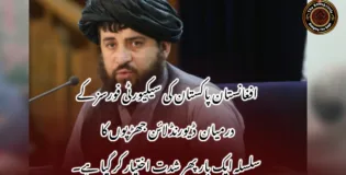 افغانستان پاکستان کی سیکیورٹی فورسز کے درمیان  ڈیورنڈ لائن جھڑپوں کا سلسلہ ایک بار پھر شدت اختیار کر گیا ہے۔