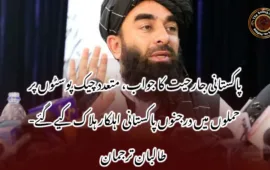 پاکستانی جارحیت کا جواب، متعدد چیک پوسٹوں پر حملوں میں درجنوں پاکستانی اہلکار ہلاک کیے گئے- طالبان ترجمان