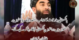 پاکستانی جارحیت کا جواب، متعدد چیک پوسٹوں پر حملوں میں درجنوں پاکستانی اہلکار ہلاک کیے گئے- طالبان ترجمان