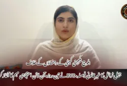 بلوچ یکجہتی کمیٹی کے رہنماؤں کے خلاف جیل ٹرائل کا غیر قانونی فیصلہ، BYC نے تین روزہ آن لائن احتجاجی مہم کا آغاز کر دیا