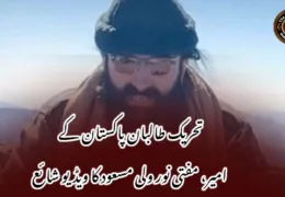 تحریک طالبان پاکستان کے امیر، مفتی نور ولی مسعود کا ویڈیو شائع