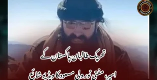تحریک طالبان پاکستان کے امیر، مفتی نور ولی مسعود کا ویڈیو شائع