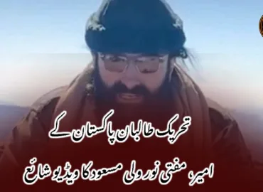 تحریک طالبان پاکستان کے امیر، مفتی نور ولی مسعود کا ویڈیو شائع
